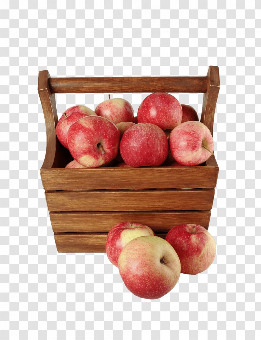 Organic Food Responsive Web Design Template - Agriculture - Apple Fruit Transparent PNG