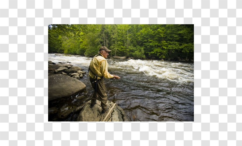 Fly Fishing Water Resources Tree - Recreation Transparent PNG