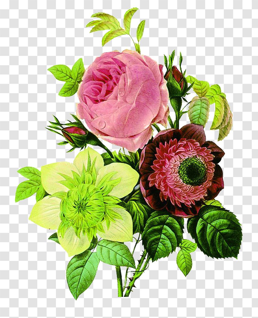 Flower Botany Botanical Illustration Floral Design - Floristry - Tricolor Bouquet Vector Transparent PNG