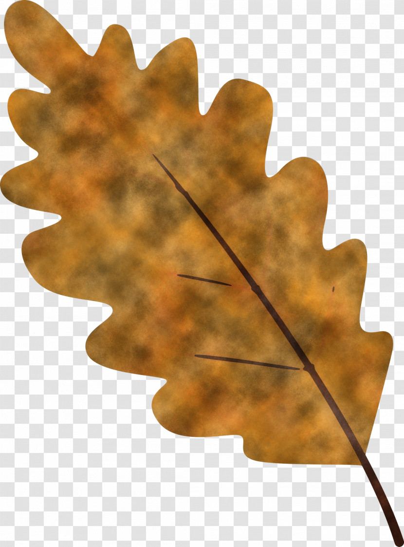 Maple Leaf Transparent PNG