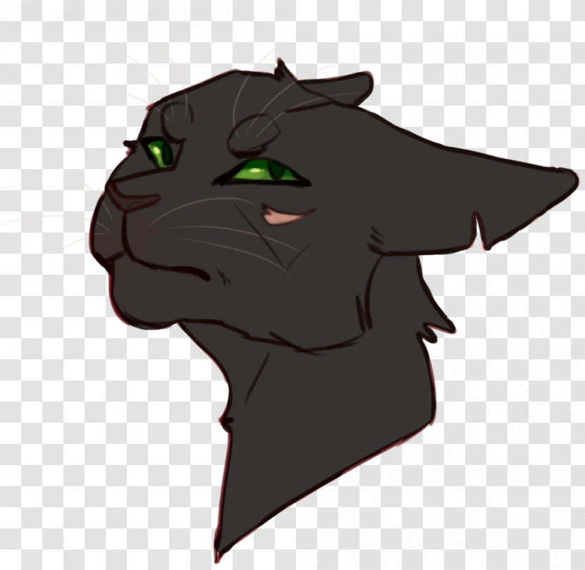 Black Cat Whiskers Snout - Tail Transparent PNG
