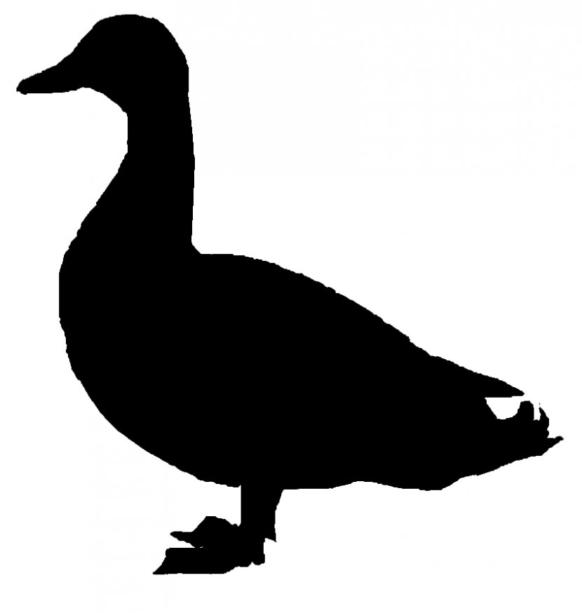 Donald Duck Mallard Goose Clip Art - Silhouette Transparent PNG