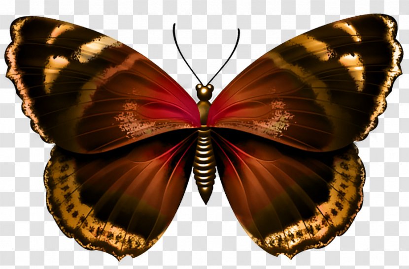 Butterfly Purple Clip Art - Transparent Image Transparent PNG
