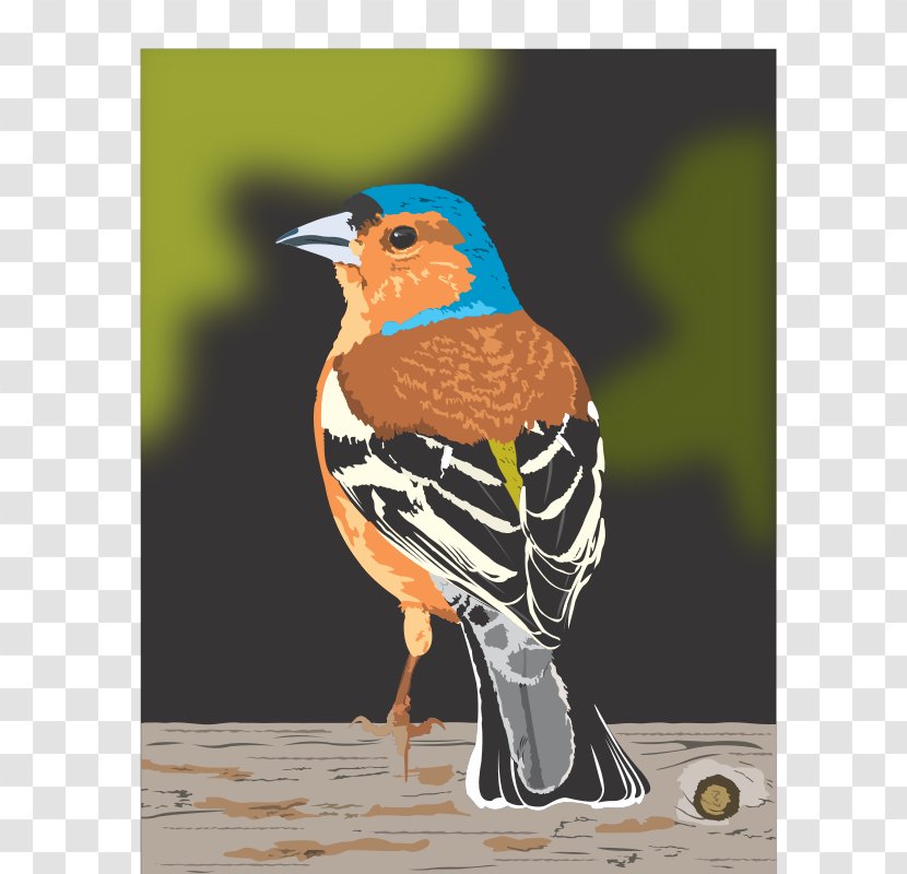 Bird Dinosaur Planet Finches Clip Art Transparent PNG