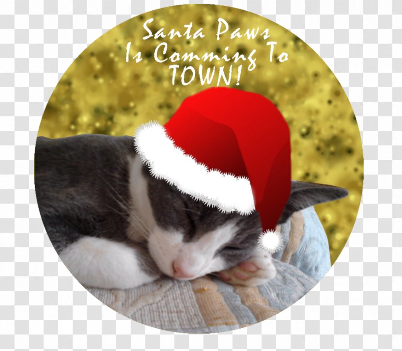 Christmas Ornament Day - Cat - Animal Lovers Transparent PNG