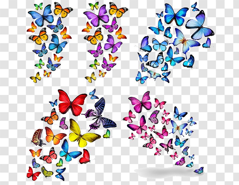 Butterfly Stock Photography Blue Illustration - Vector Pattern Transparent PNG