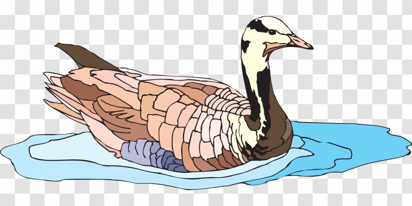 Duck Goose Water Bird Clip Art - Ducks Geese And Swans - Swimming Transparent PNG