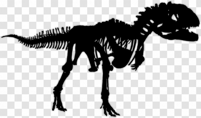 Tyrannosaurus Majungasaurus Velociraptor Saltasaurus Spinosaurus - Dinosaur - Daspletosaurus Transparent PNG