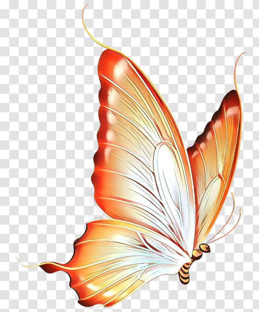 Clip Art Butterfly Image Free Content - Invertebrate - Moths And Butterflies Transparent PNG