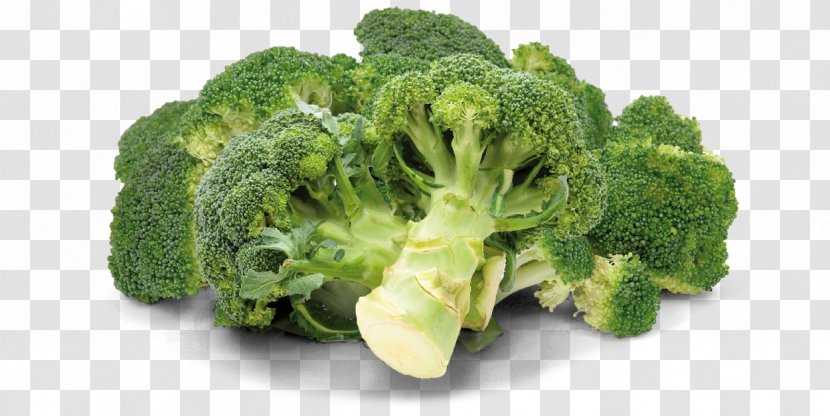 Broccoli Vegetarian Cuisine Vegetable Rapini - Romaine Lettuce Transparent PNG