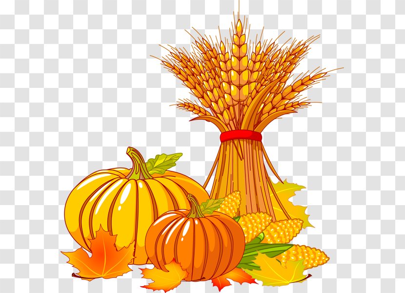 Thanksgiving Autumn Turkey Clip Art - Orange - Pumpkin Clipart Transparent PNG