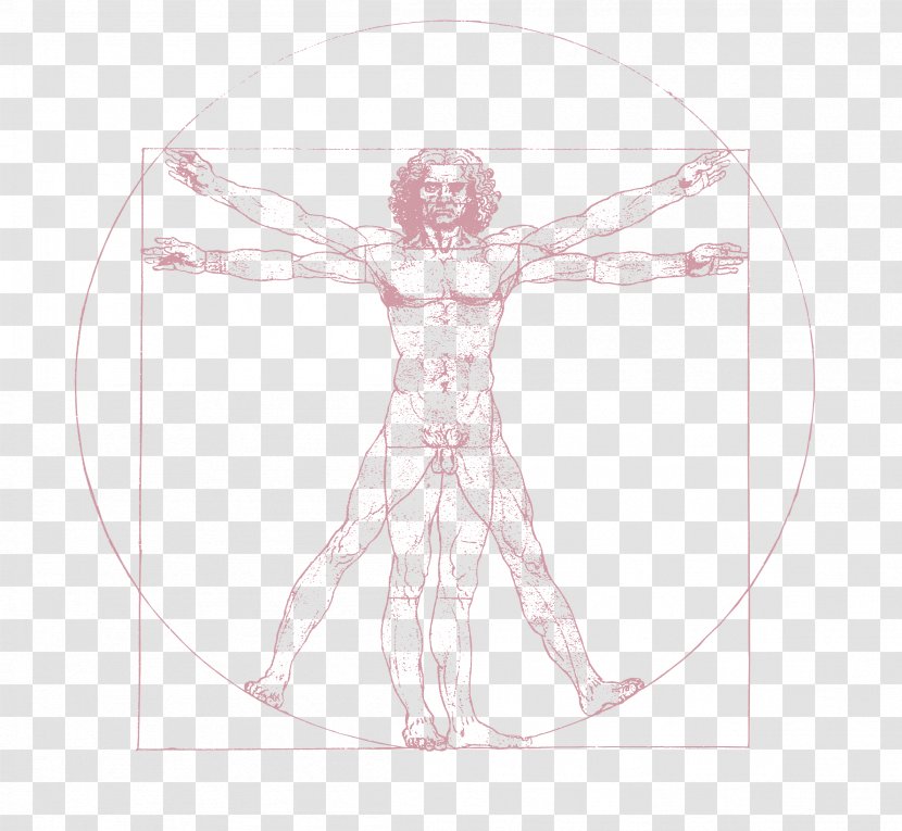 Vitruvian Man Drawing Art Sketch - Flower - Vi Transparent PNG