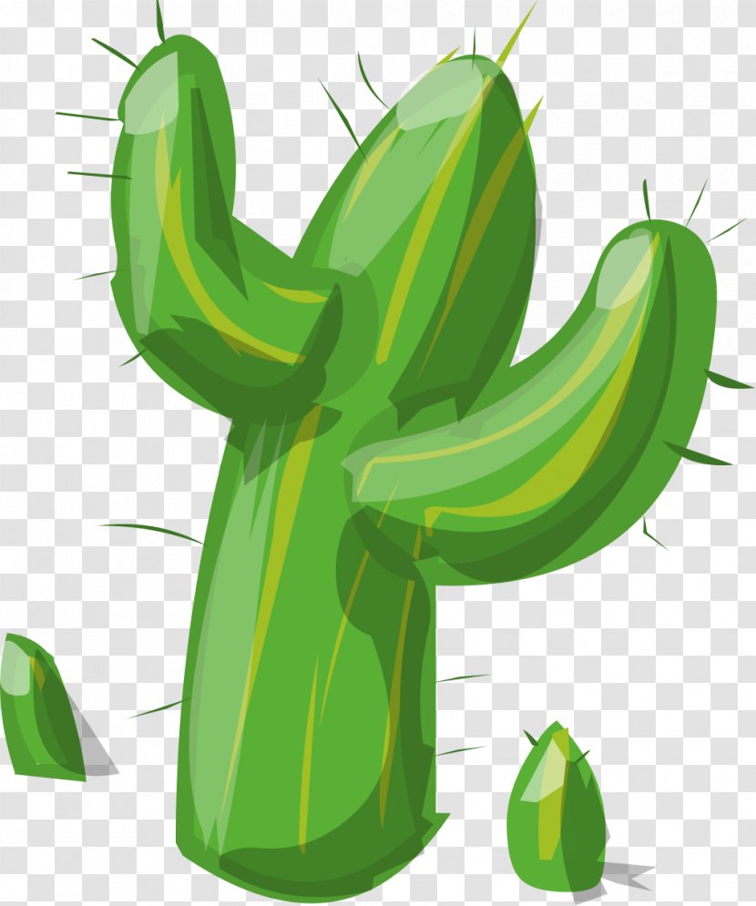 Cactaceae Clip Art - Cactus Transparent PNG