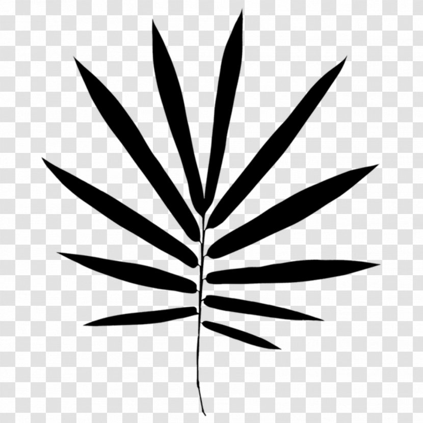 Black & White - Botany - M Font Line Leaf Transparent PNG