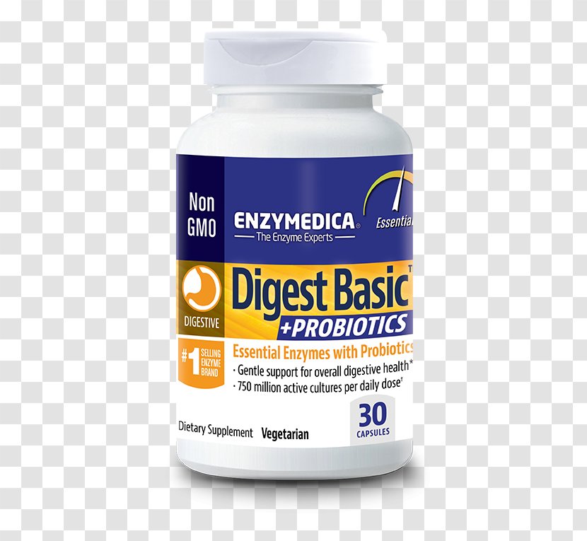Digestion Digestive Enzyme Probiotic Food - Protease - Cellulase Transparent PNG