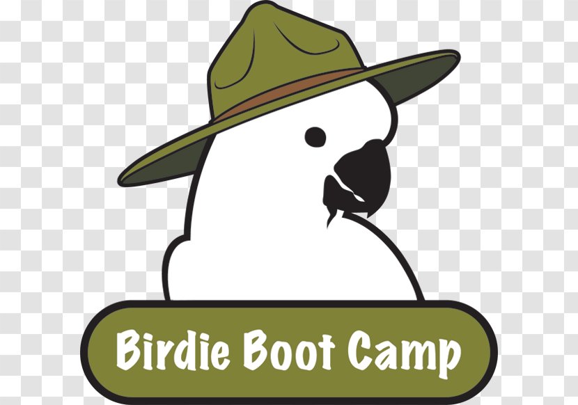 Cowboy Hat Parrot Clip Art Cartoon - Training - Boot Camp Transparent PNG