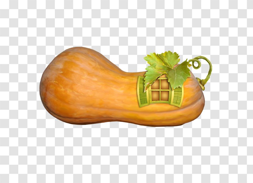 Pumpkin Gourd Calabaza Transparent PNG