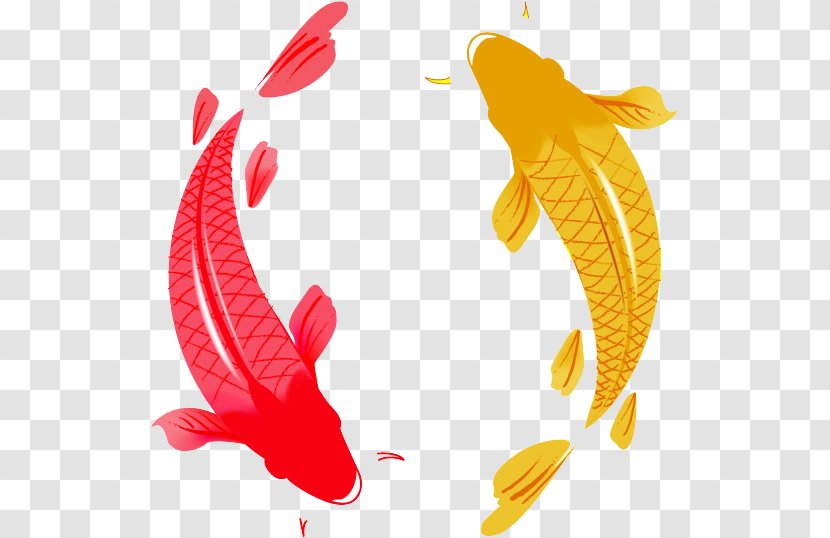 Koi Carp Photography Clip Art - Koinobori - Fish Transparent PNG