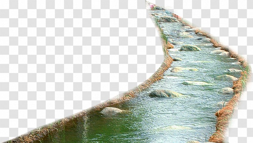 Clip Art River Image Nature - Plant - Vignette Transparent PNG