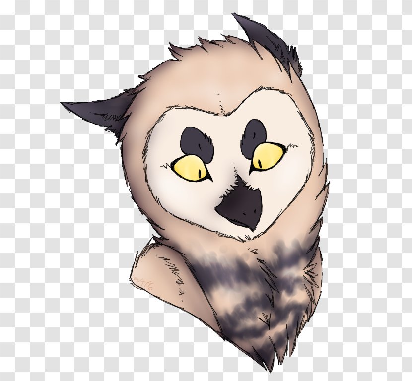 Whiskers Cat Owl Clip Art Illustration - Face - Ooo Shiny Transparent PNG