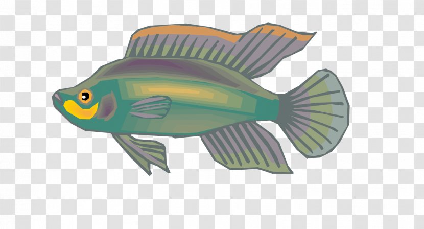 Euclidean Vector Yellow Grey - Gray Ornamental Fish Material Transparent PNG