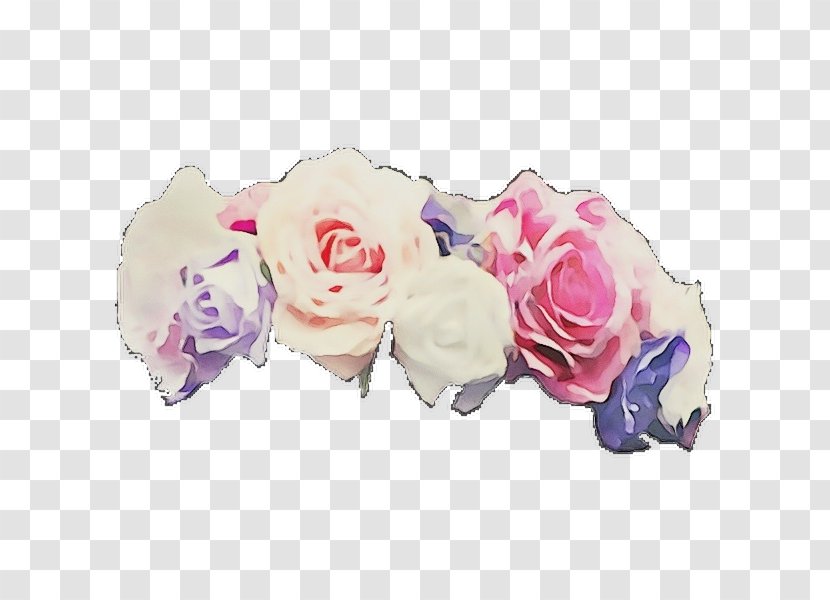 Garden Roses - Cut Flowers - Purple Plant Transparent PNG