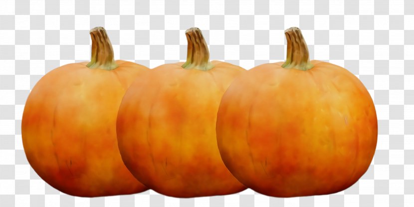 Pumpkin - Paint - Cucurbita Fruit Transparent PNG