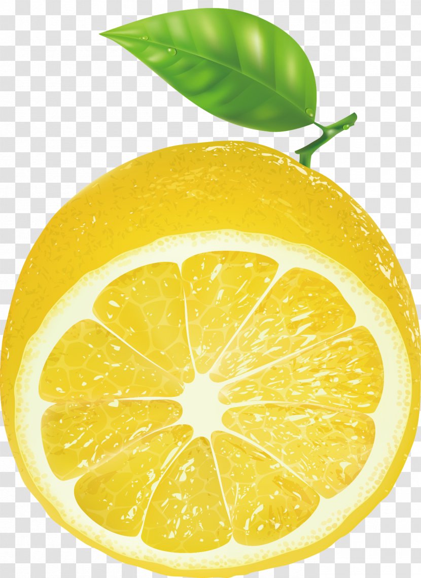 Lemon Key Lime Persian - Superfood - Decorative Design Patterns Transparent PNG