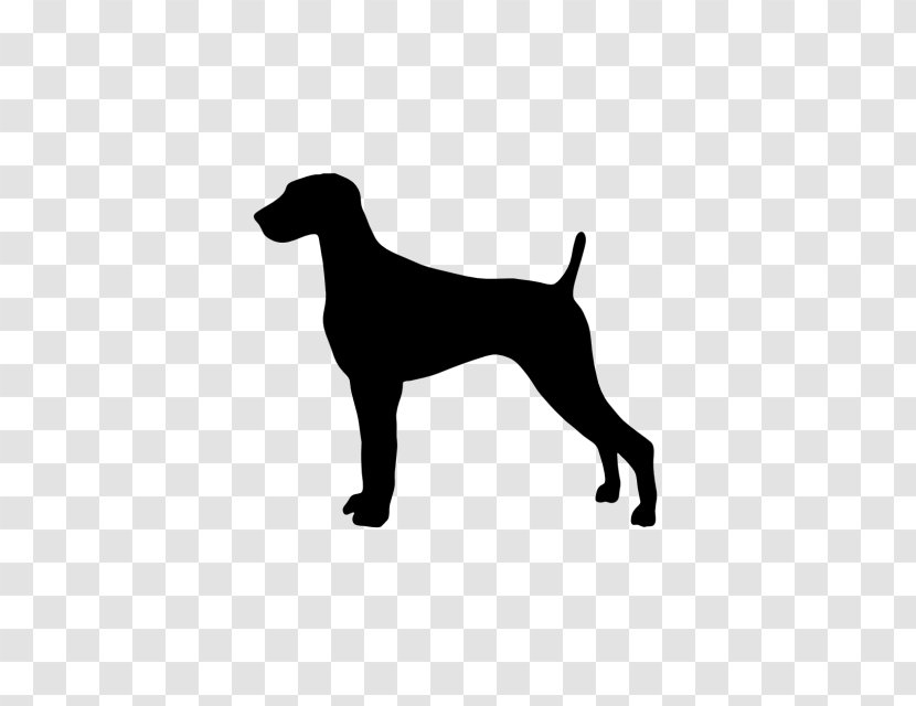 Weimaraner Dobermann Great Dane German Shorthaired Pointer Puppy - Dog Like Mammal Transparent PNG