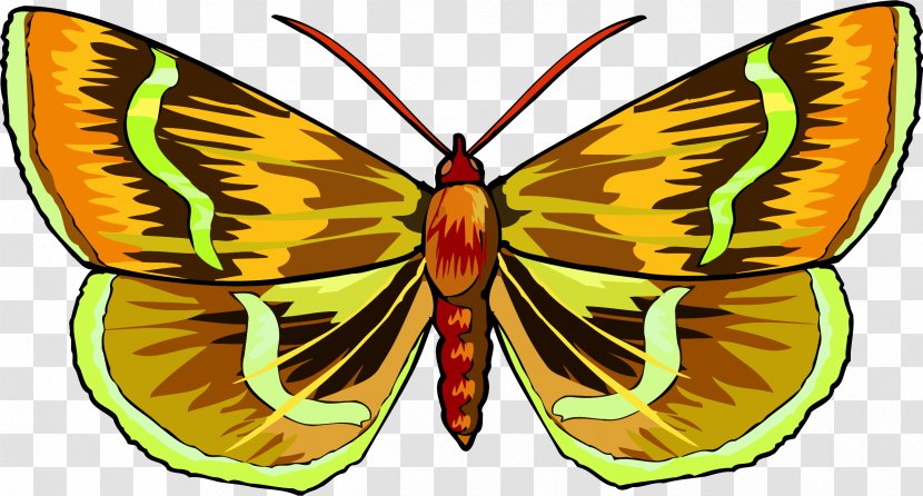 Butterfly Clip Art - Pieridae - Butter Transparent PNG