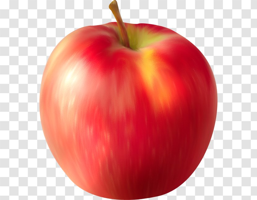 Apple Auglis Computer Software Clip Art - Mcintosh - Autumn Red Transparent PNG