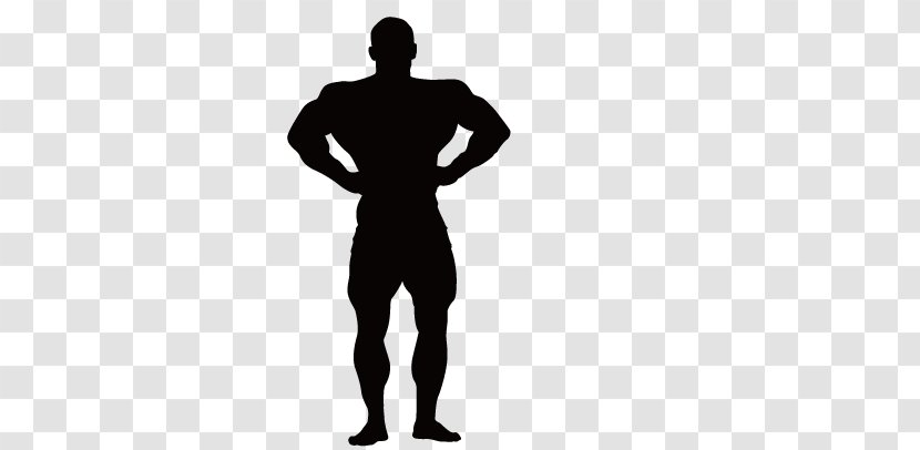 Bodybuilding Silhouette Muscle Physical Fitness - Figures Transparent PNG