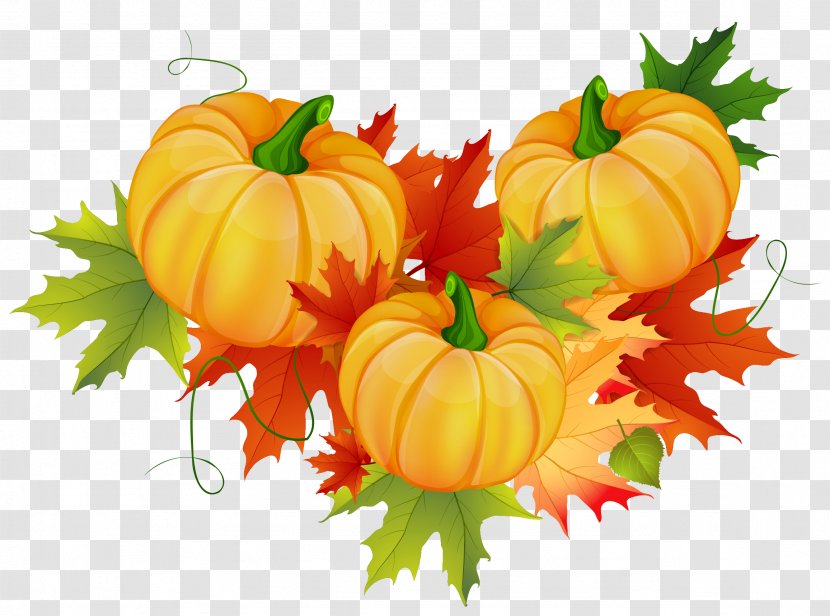 Pumpkin Thanksgiving Clip Art - Decoration Clipart Transparent PNG