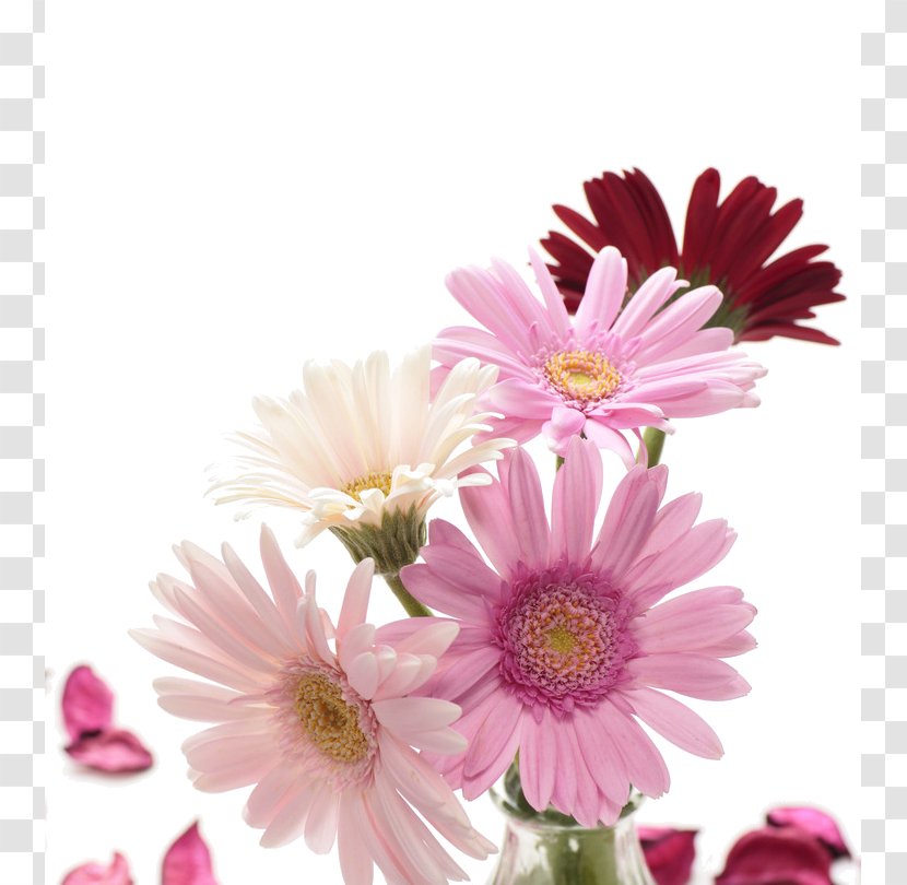 Desktop Wallpaper Photography Flower Clip Art - Display Resolution Transparent PNG