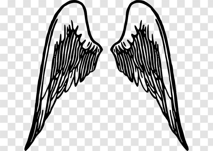 Drawing Angel Clip Art - Monochrome - Feathers Transparent PNG