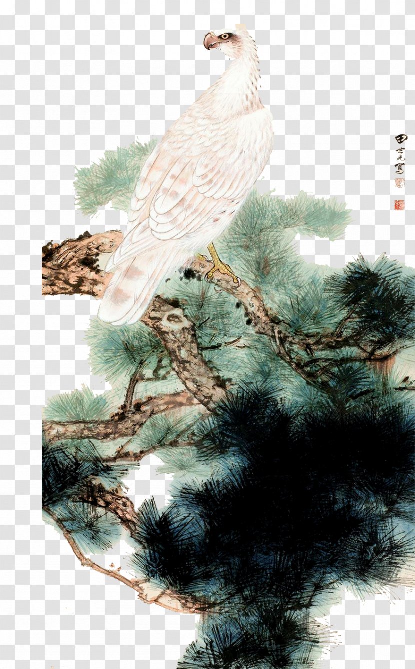 U5de5u7b14u82b1u9e1fu753b Bird-and-flower Painting Chinese Illustration - Gongbi - Eagle Transparent PNG