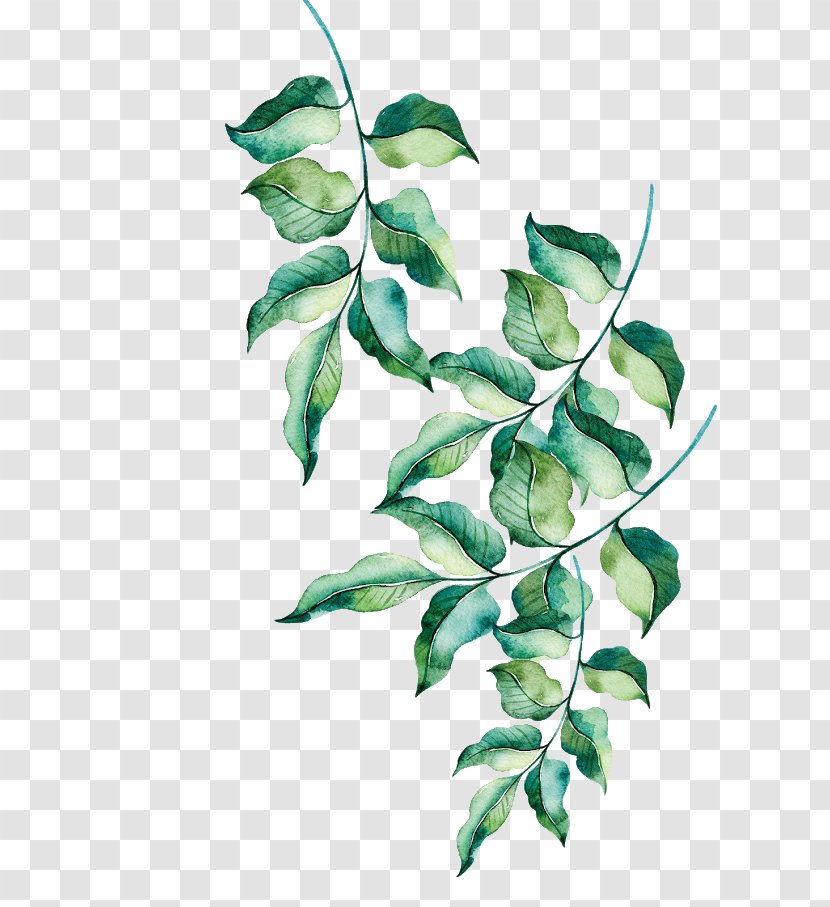 Watercolor Painting Clip Art Image - Paint - Vines Green Leaves Transparent PNG