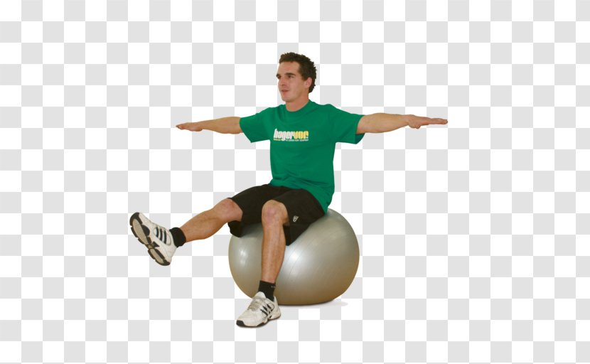Exercise Balls Abdominal Rectus Abdominis Muscle - Heart - Gym Ball Transparent PNG
