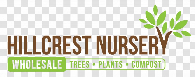 Hillcrest Nursery Tree Men Without Women - Pricing Transparent PNG
