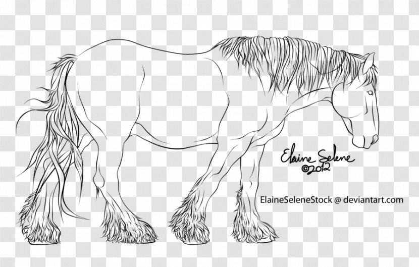Shire Horse Clydesdale Friesian Mane Mustang - Animal - Horsehead Printing Transparent PNG