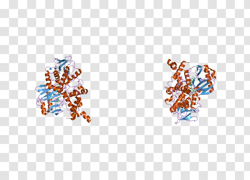 Monoamine Oxidase A Gene Neurotransmitter Enzyme - Jewellery Transparent PNG