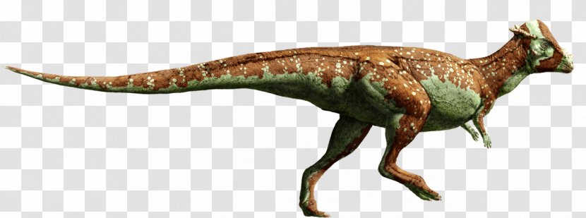 Pachycephalosaurus Velociraptor Suchomimus Triceratops Stegosaurus - Fauna - Jurassic World: Fallen Kingdom Transparent PNG