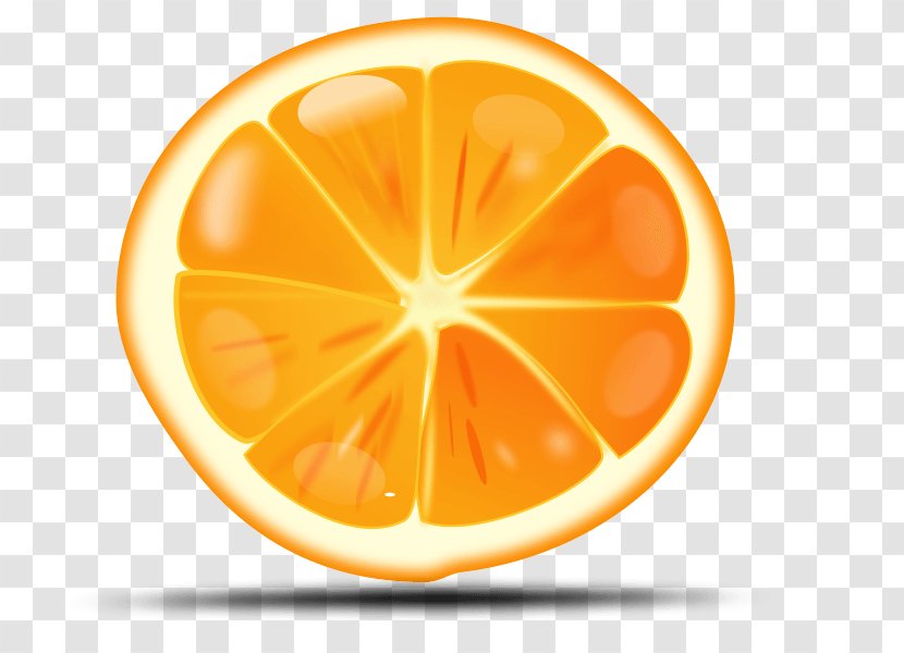 Orange Clip Art - Food - Image Download Transparent PNG