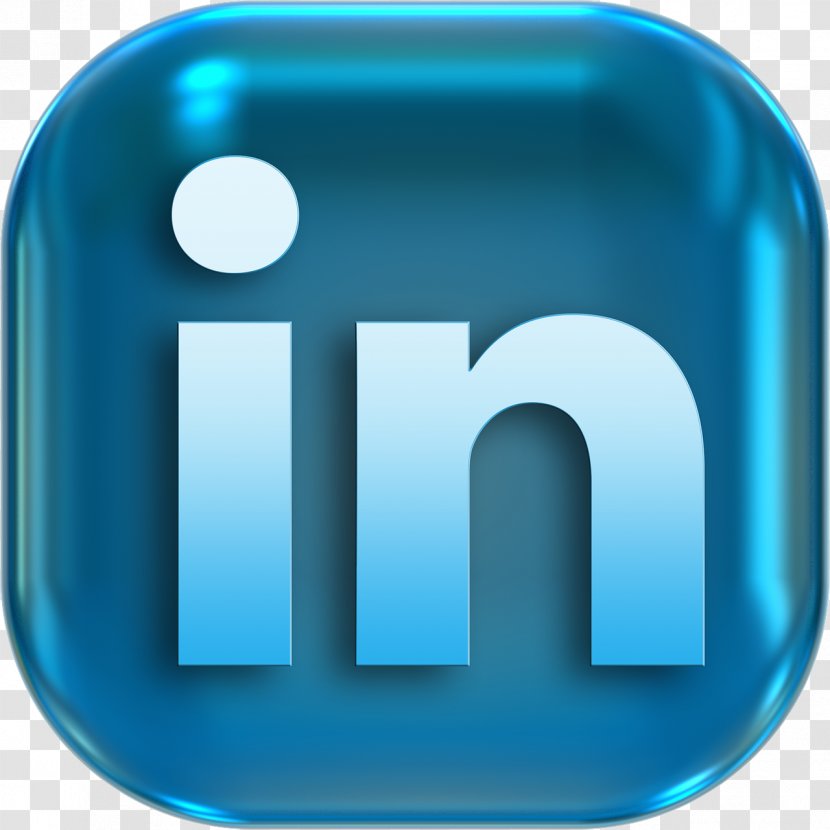 Social Media LinkedIn Lead Generation User Profile - Harbor Seal Transparent PNG