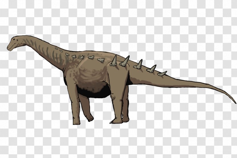 Bonitasaura Tyrannosaurus Aeolosaurus Titanosaur Velociraptor - Keratin - Dinosaur Transparent PNG