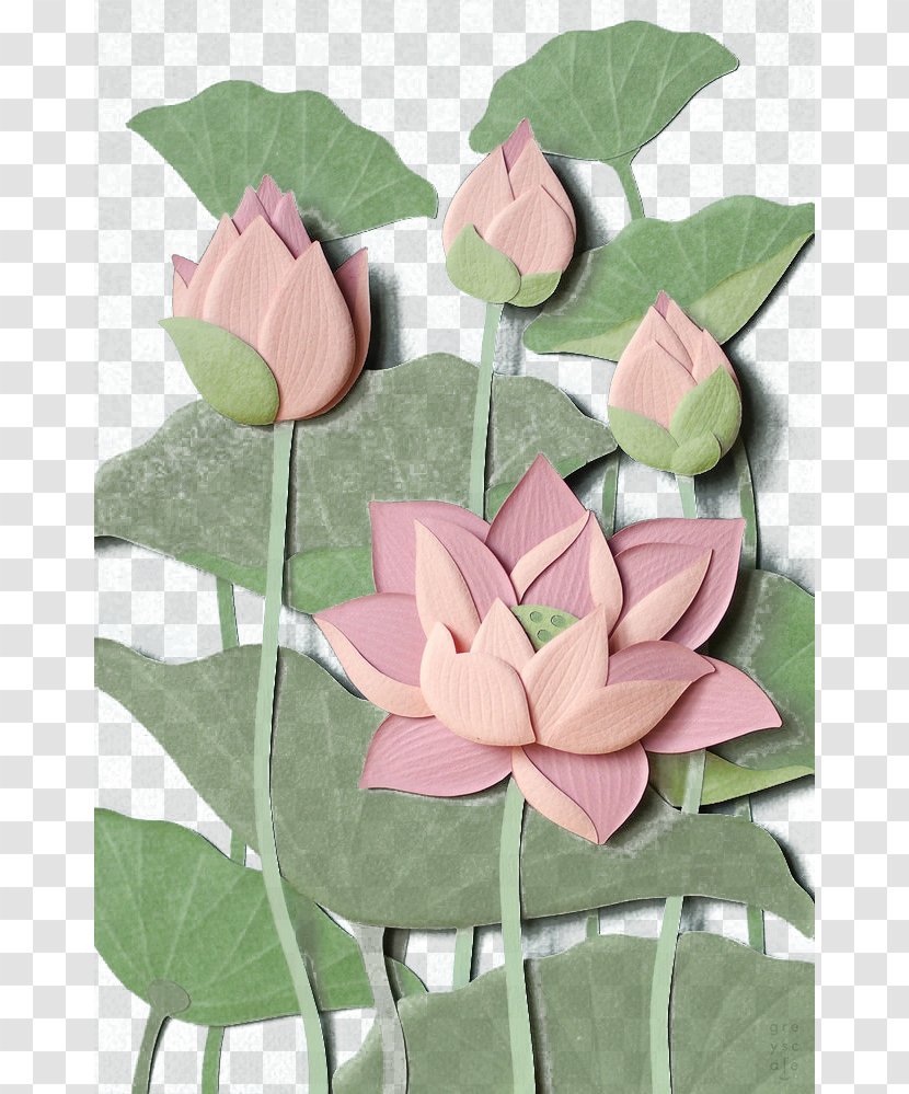 Nelumbo Nucifera Gratis Flower - Arranging - Lotus Transparent PNG
