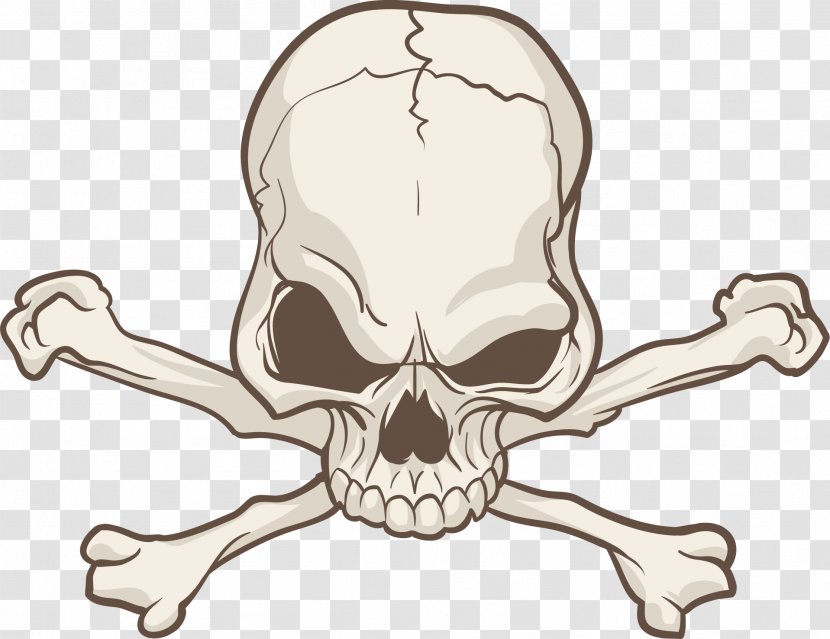 Skull Bone - Silhouette - Skulls Transparent PNG