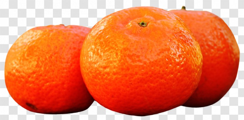 Tangelo Clementine Tangerine Mandarin Orange - Portakal Transparent PNG