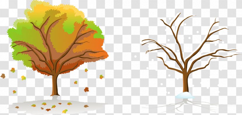 Season Tree Autumn - Leaf - And Winter Trees Transparent PNG