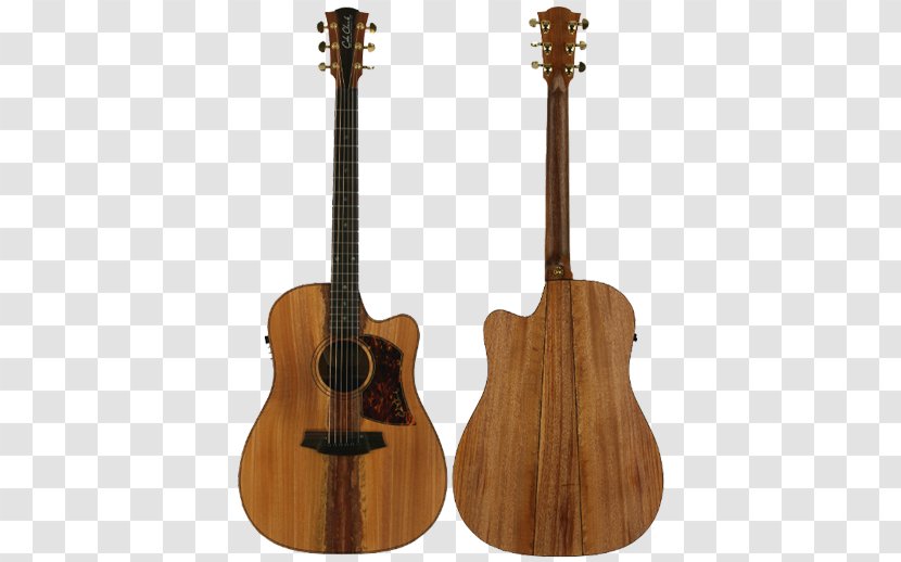 Bass Guitar Acoustic Tiple Ukulele Cuatro - Tree Transparent PNG